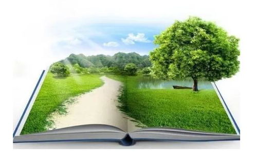 環(huán)保政策對工程項(xiàng)目的風(fēng)險(xiǎn)與應(yīng)對